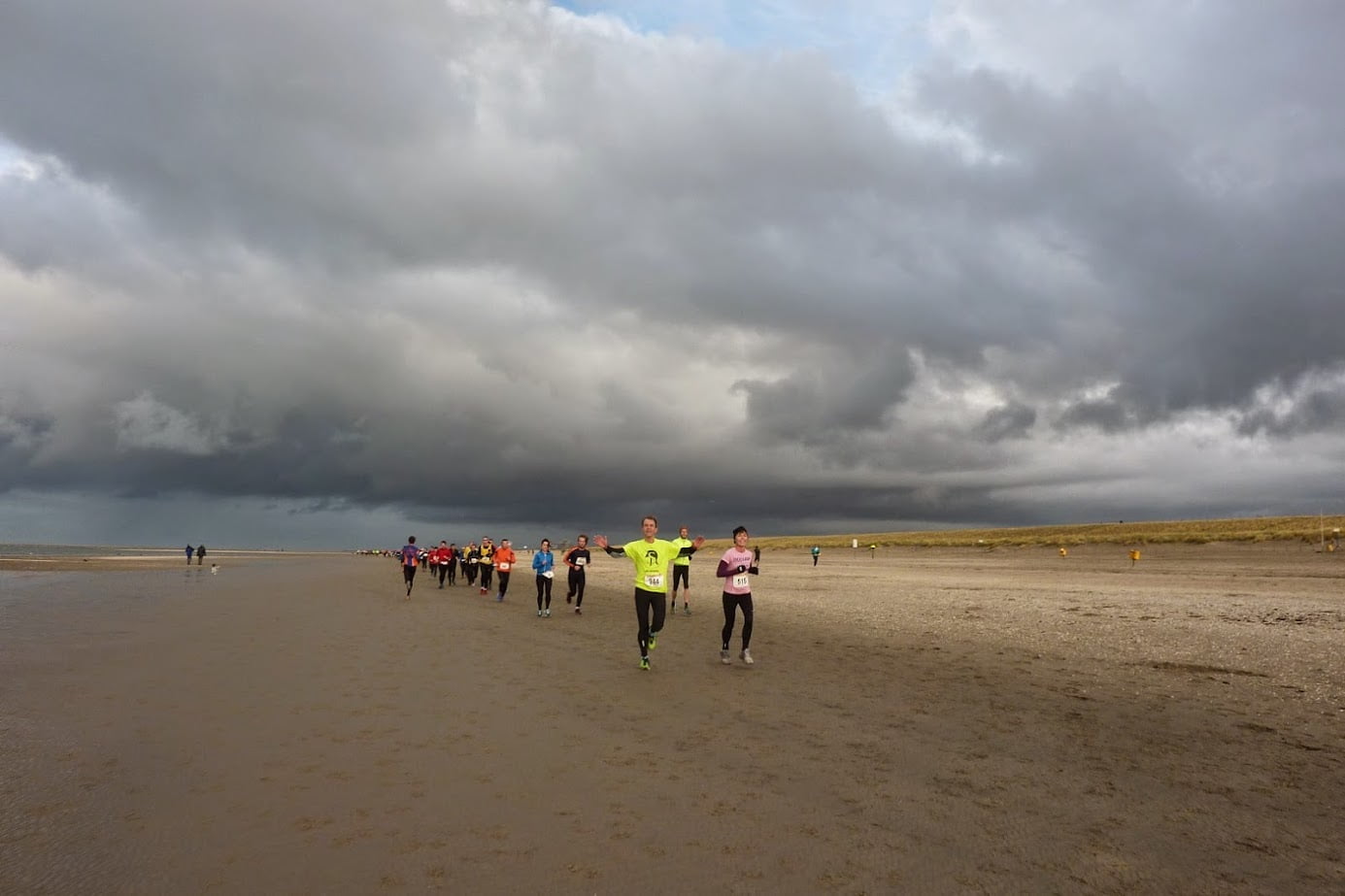 De Meeuwen Makrelen Loop