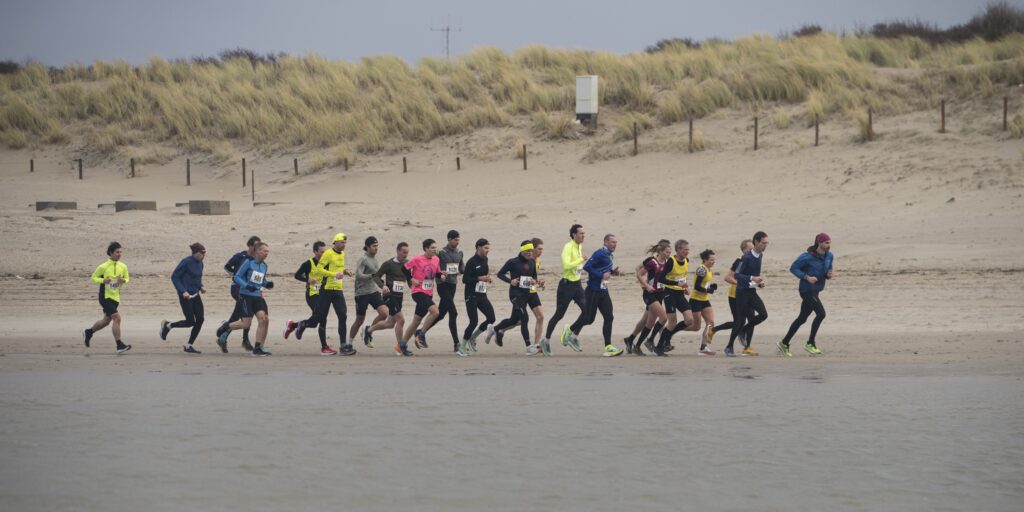 Foto van de Meeuwen Makrelen Loop